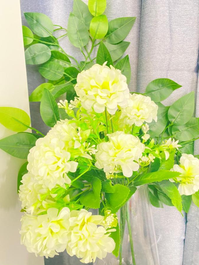 Best Rooms - Quarto 3 Plateau برايا المظهر الخارجي الصورة